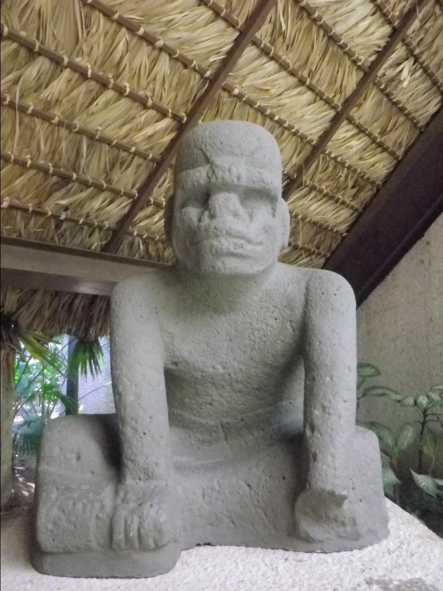 Olmeca culture museum13